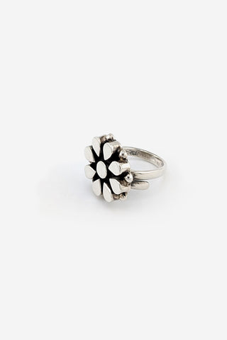 Denny Ring